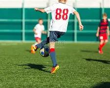 罗被狂热粉,丝攻击怒斥,你失态了,pg286娱乐链接,pg286娱乐官网地址,pg286娱乐官方平台,pg286娱乐入口站点