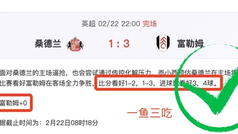 德丹友谊赛握手言和：基米希助攻诺伊豪斯，比分1-1