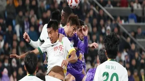 北大仓粮食产量持续创新高，首次突破1600亿斤里程碑